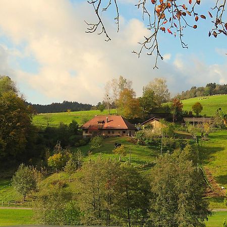 Hernis-Hoefle Elzach Exterior foto