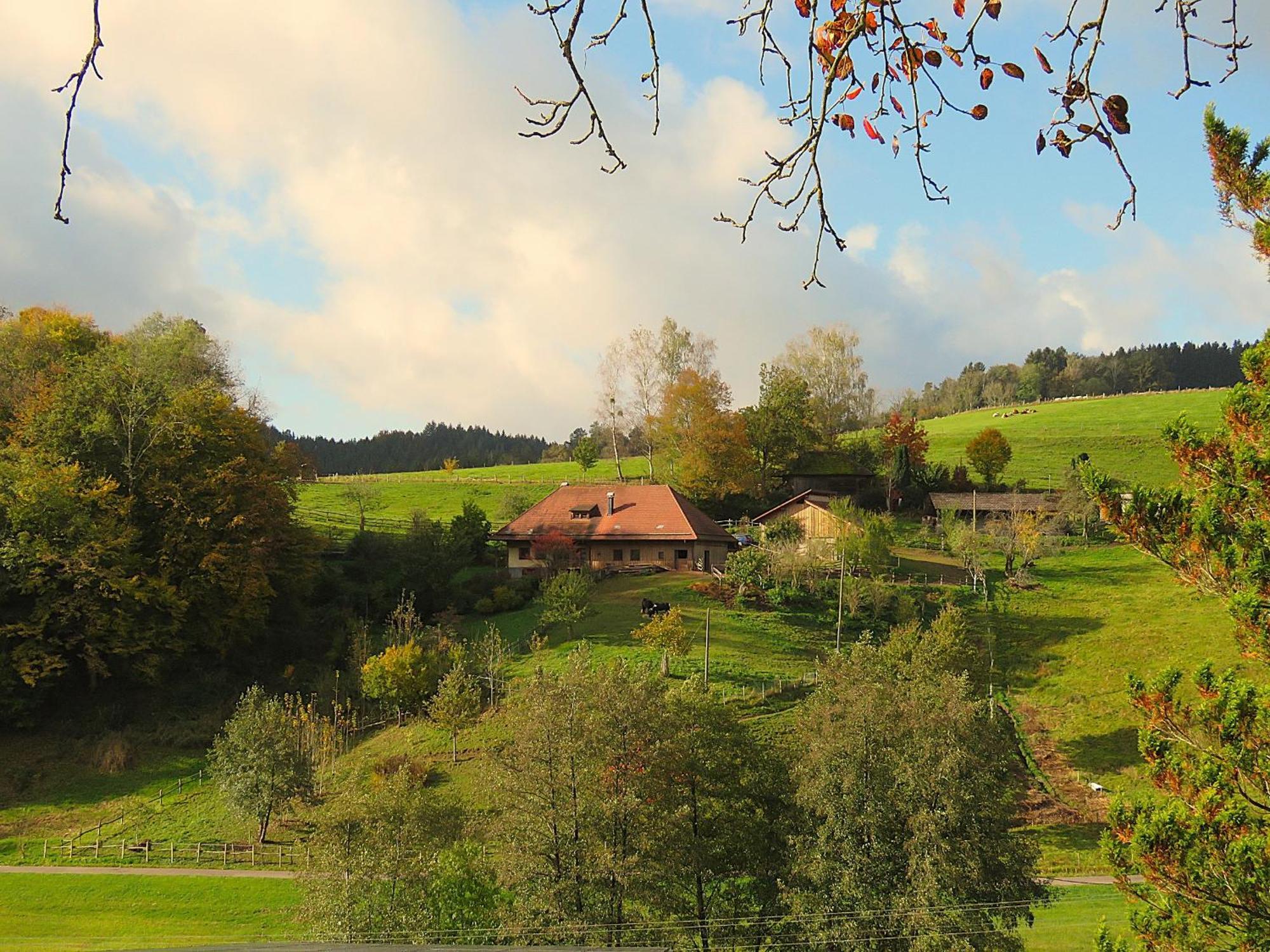 Hernis-Hoefle Elzach Exterior foto