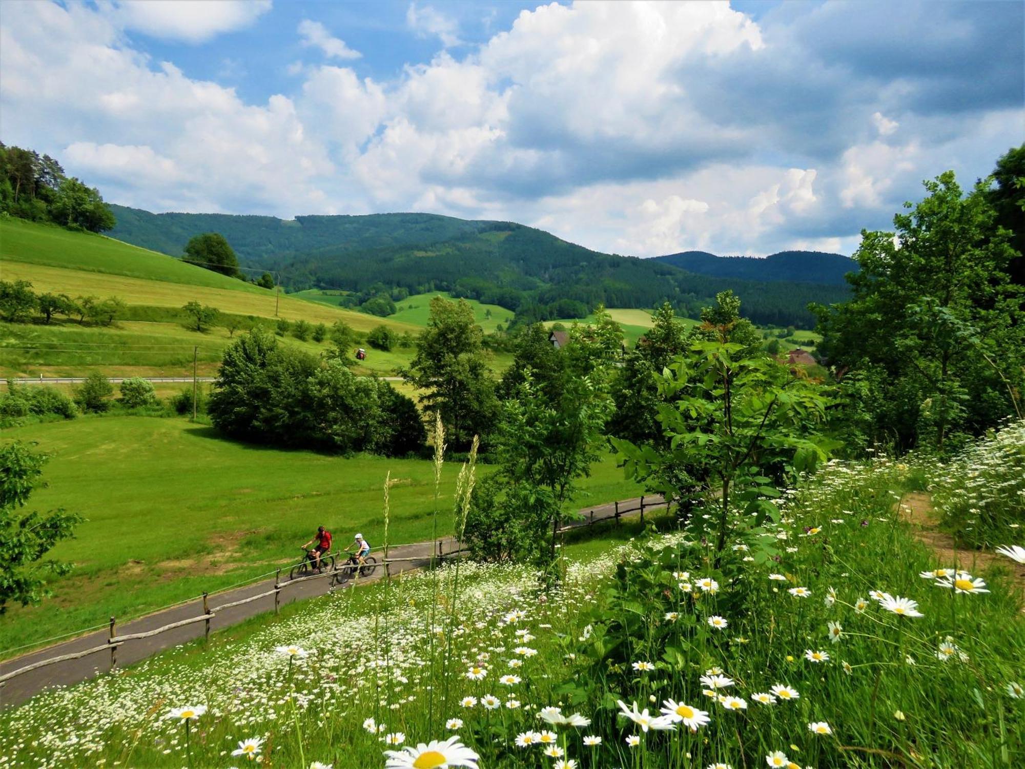 Hernis-Hoefle Elzach Exterior foto