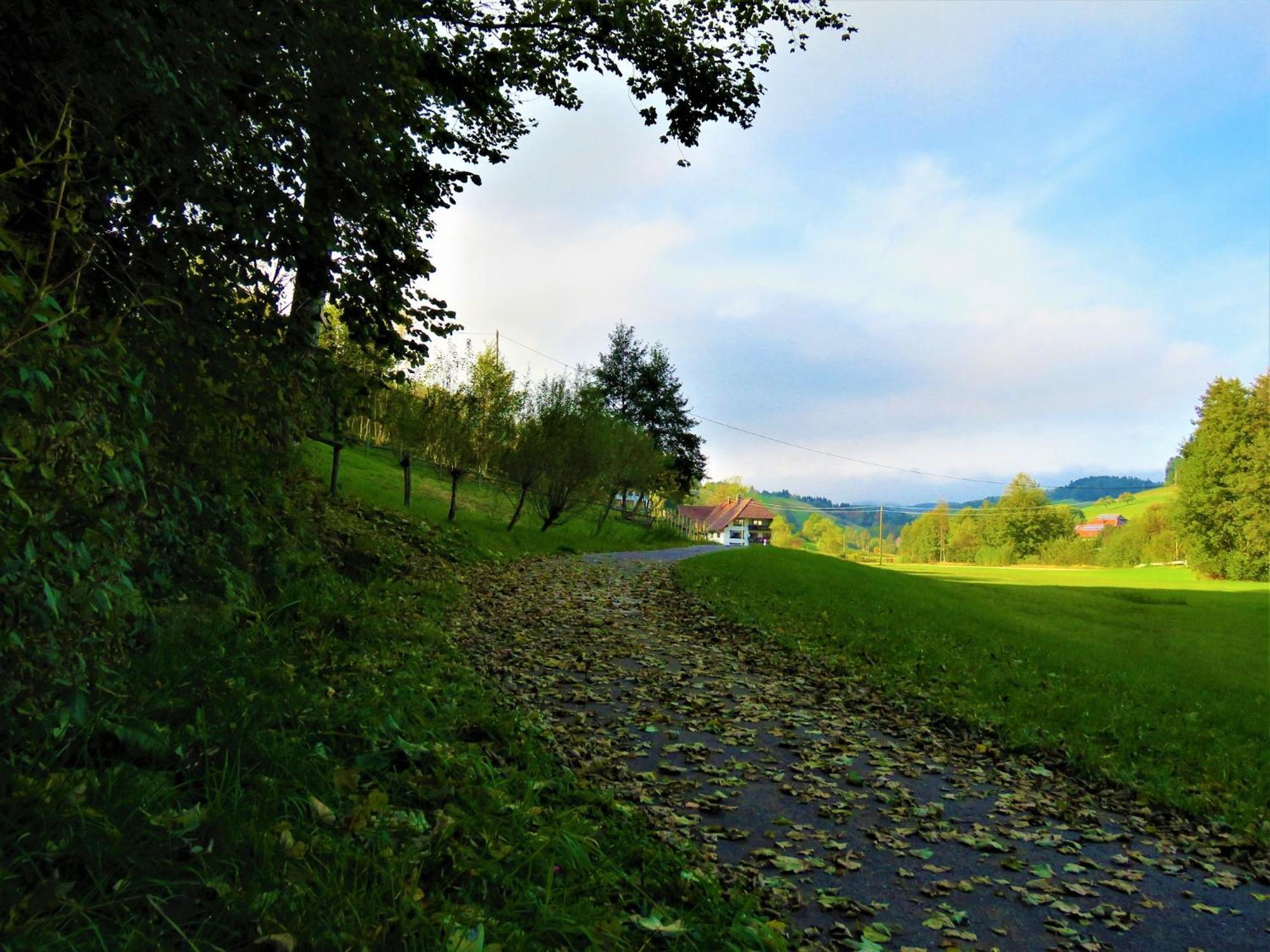 Hernis-Hoefle Elzach Exterior foto