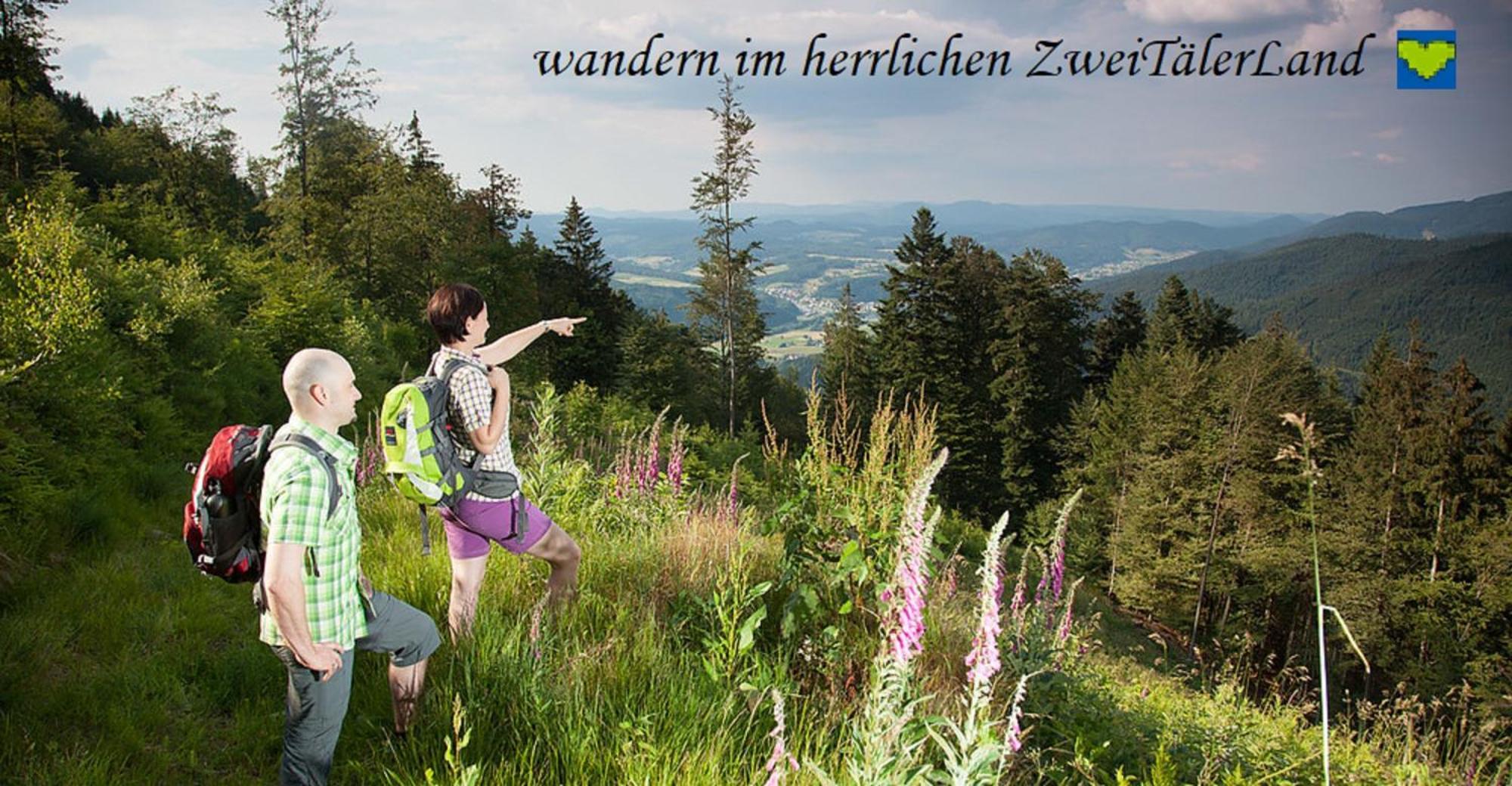 Hernis-Hoefle Elzach Exterior foto