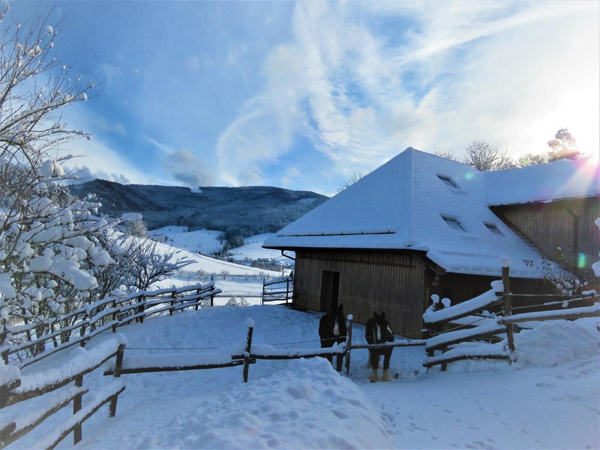 Hernis-Hoefle Elzach Exterior foto