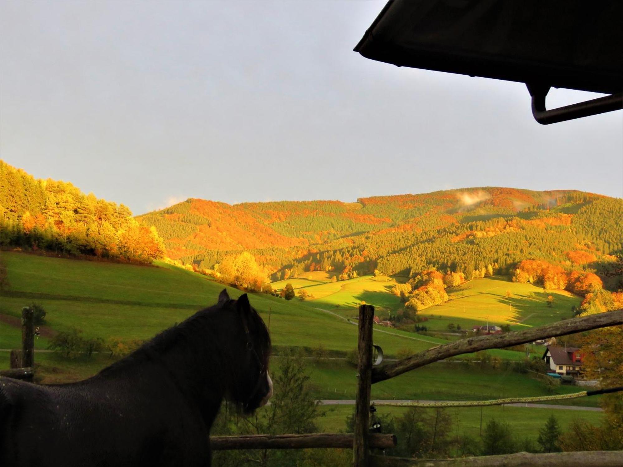 Hernis-Hoefle Elzach Exterior foto